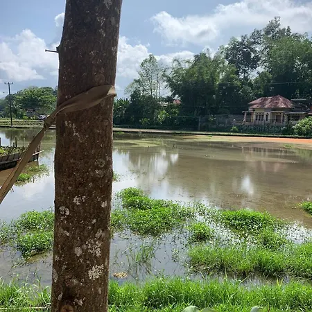 Rk.Homestay Rantepao Bagian luar foto
